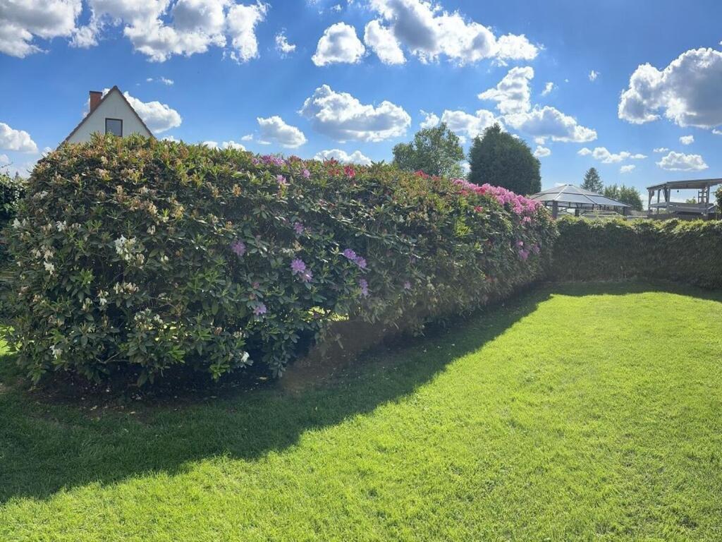 Schlossblick Braunfels Villa Esterno foto