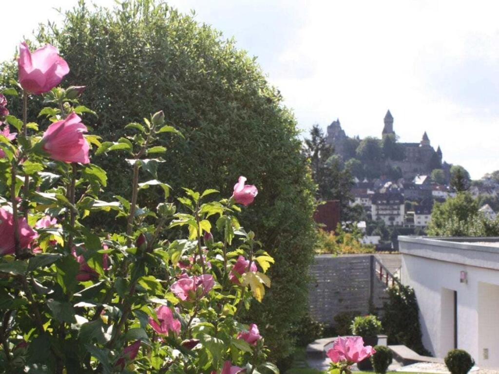 Schlossblick Braunfels Villa Esterno foto